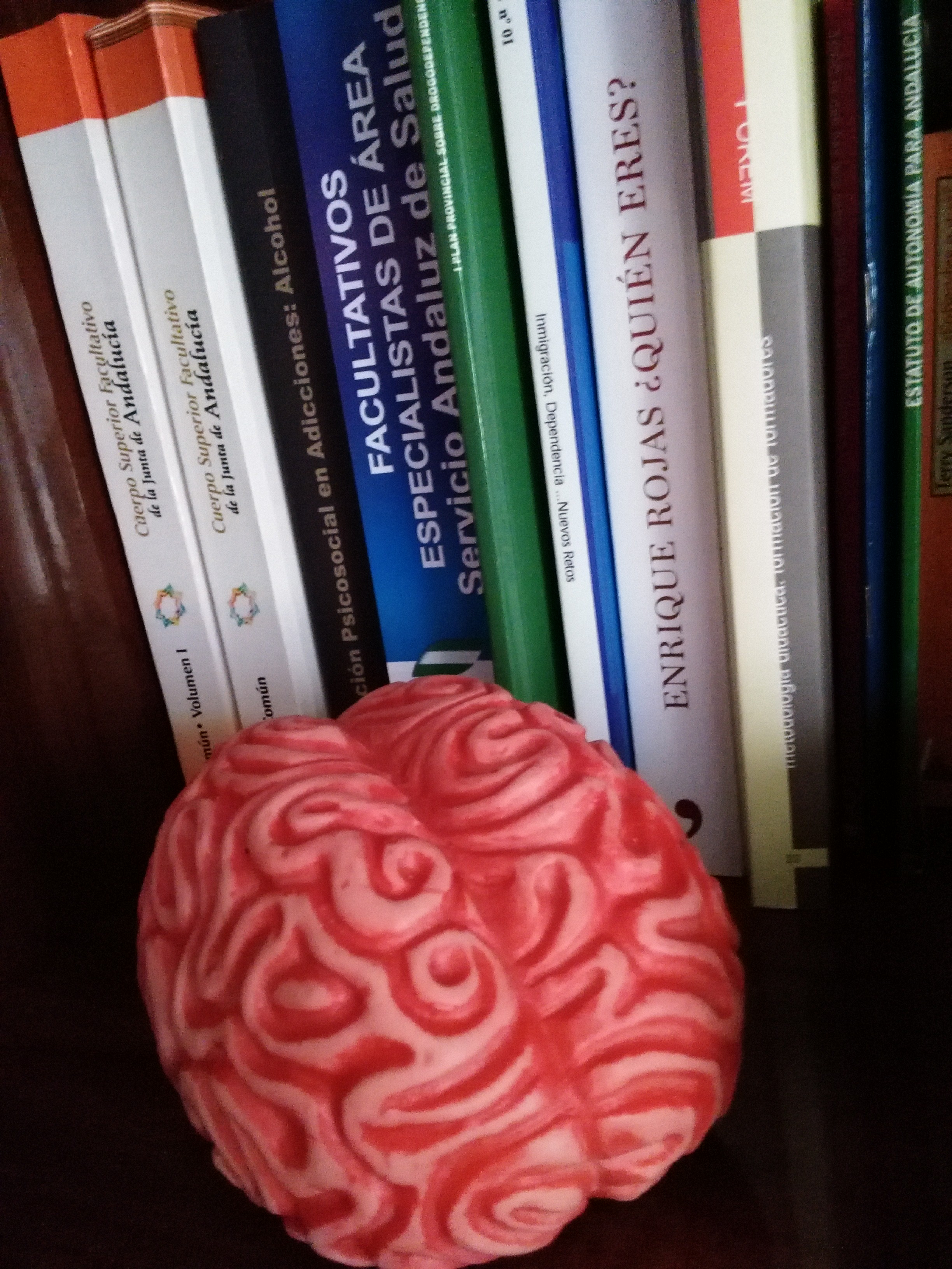 Galería de imágenes